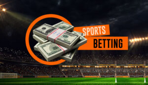 Top 10 Online Betting ID Providers in India