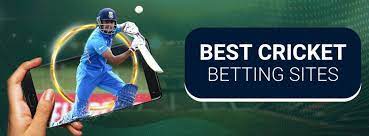 10 Best Cricket Betting Websites in India